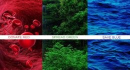 crazy ceo , crazyceo madness of an accidental entrepreneur