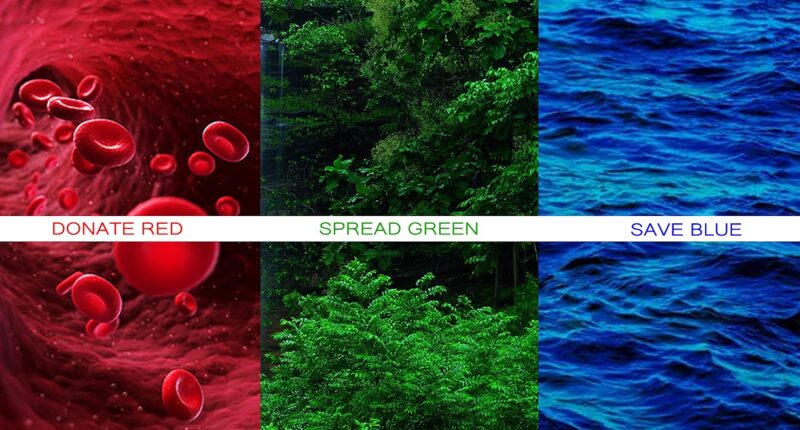 crazy ceo , crazyceo madness of an accidental entrepreneur