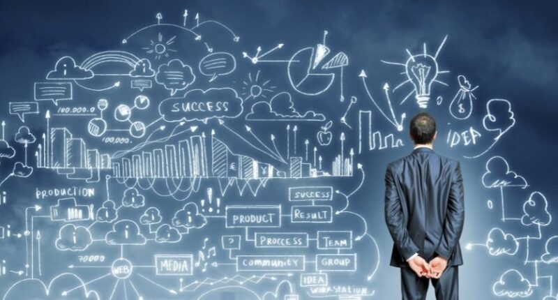 crazy ceo , crazyceo madness of an accidental entrepreneur