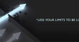 crazy ceo , crazyceo madness of an accidental entrepreneur