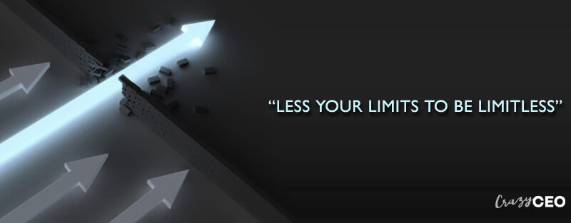 crazy ceo , crazyceo madness of an accidental entrepreneur