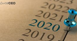 crazy ceo , crazyceo madness of an accidental entrepreneur