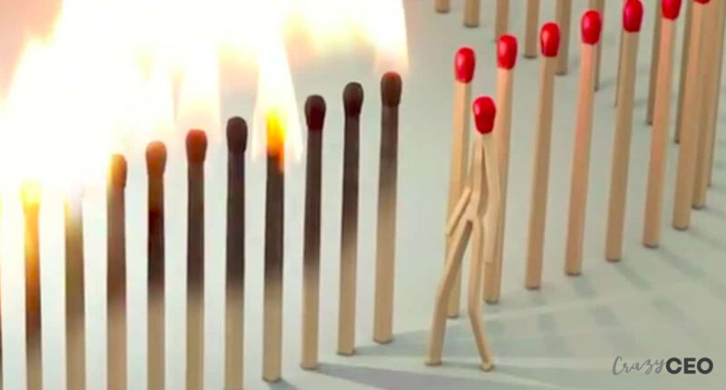 crazy ceo , crazyceo madness of an accidental entrepreneur