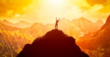 crazy ceo , crazyceo madness of an accidental entrepreneur