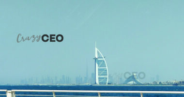 crazy ceo , crazyceo madness of an accidental entrepreneur