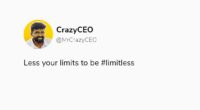 crazy ceo , crazyceo madness of an accidental entrepreneur