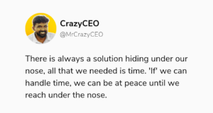 crazy ceo , crazyceo madness of an accidental entrepreneur
