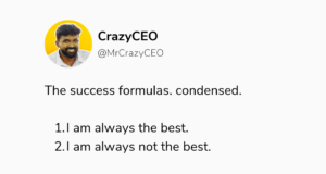 crazy ceo , crazyceo madness of an accidental entrepreneur