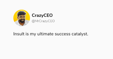 crazy ceo , crazyceo madness of an accidental entrepreneur