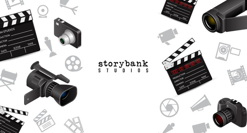 crazy ceo , crazyceo madness of an accidental entrepreneur