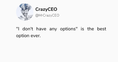 crazy ceo , crazyceo madness of an accidental entrepreneur