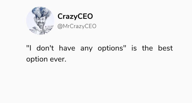 crazy ceo , crazyceo madness of an accidental entrepreneur